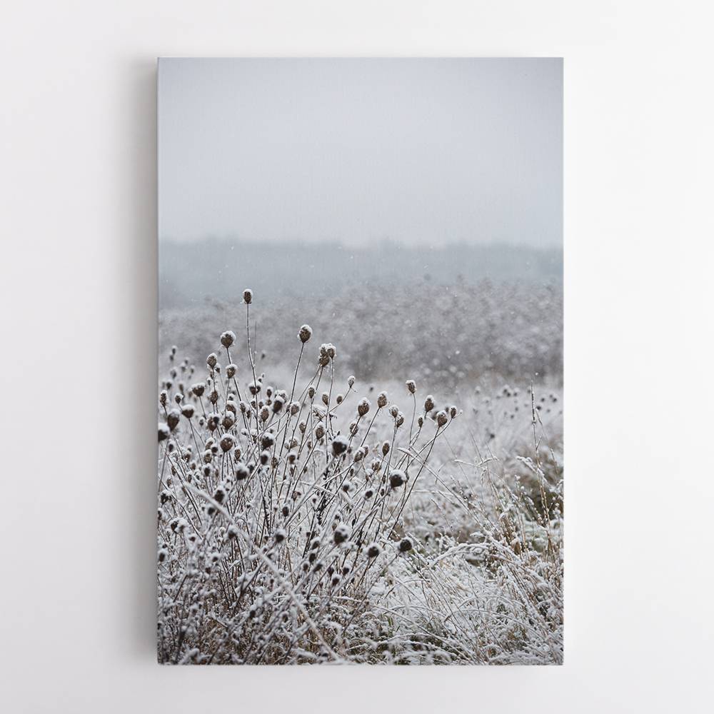 Winter Field 4 Wall Art