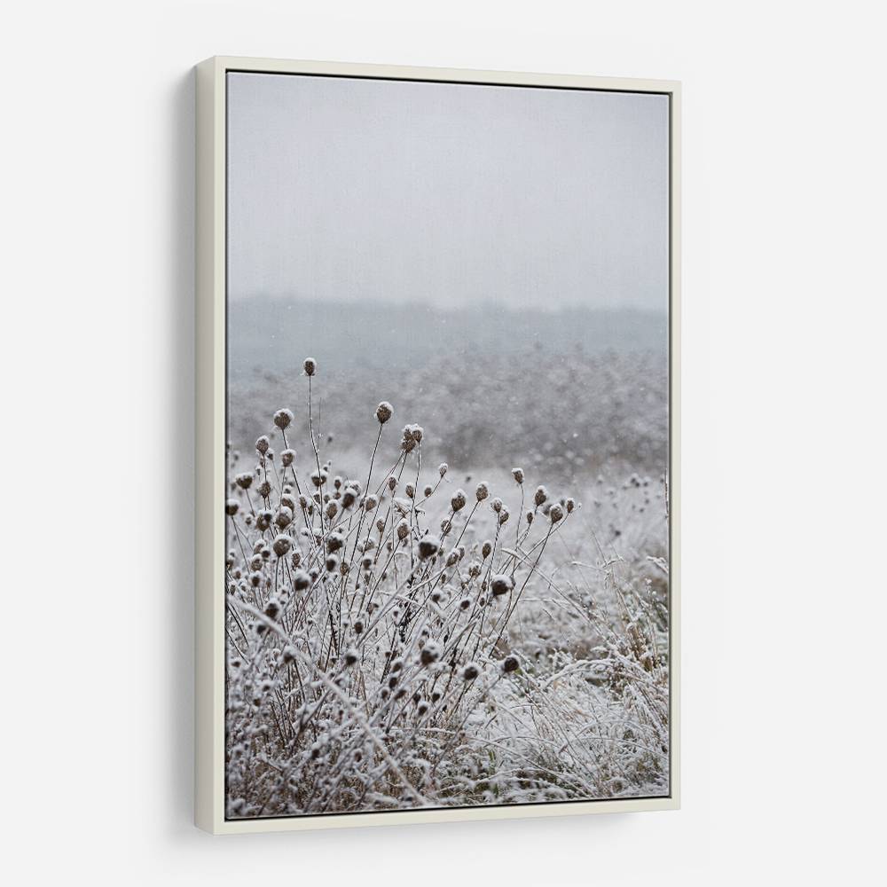 Winter Field 4 Wall Art