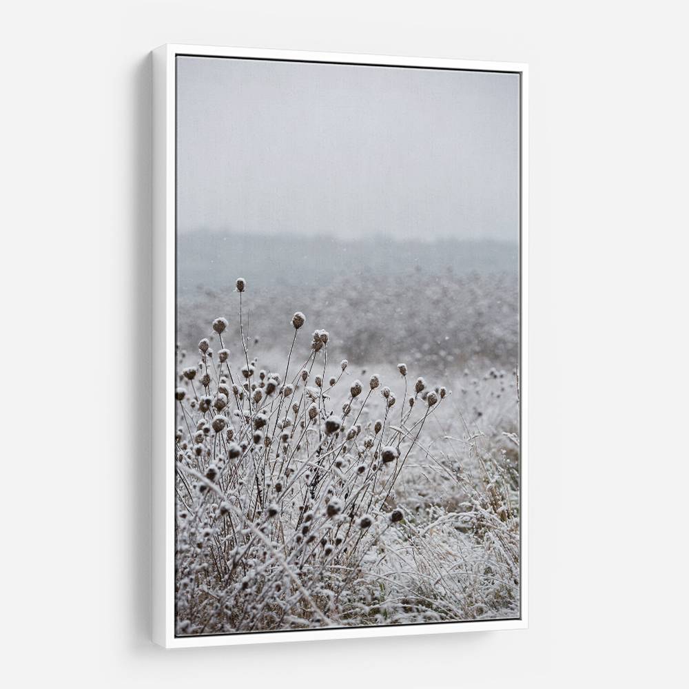 Winter Field 4 Wall Art