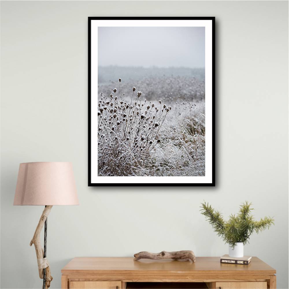 Winter Field 4 Wall Art