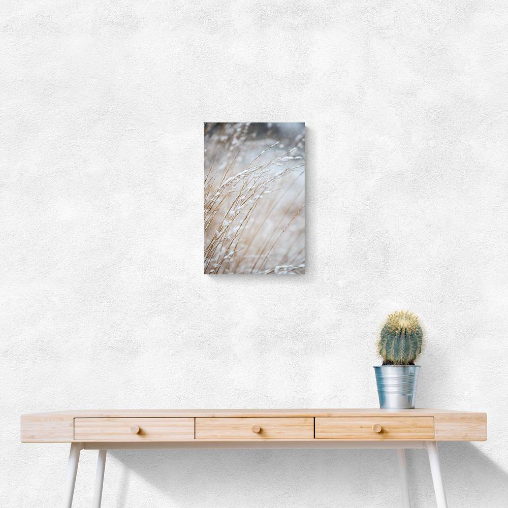 Winter Grass Wall Art