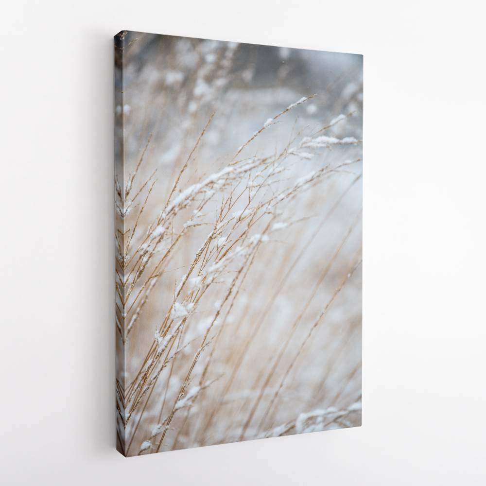 Winter Grass Wall Art