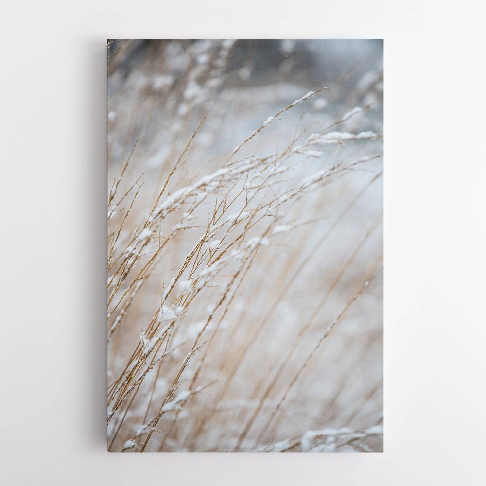 Winter Grass Wall Art