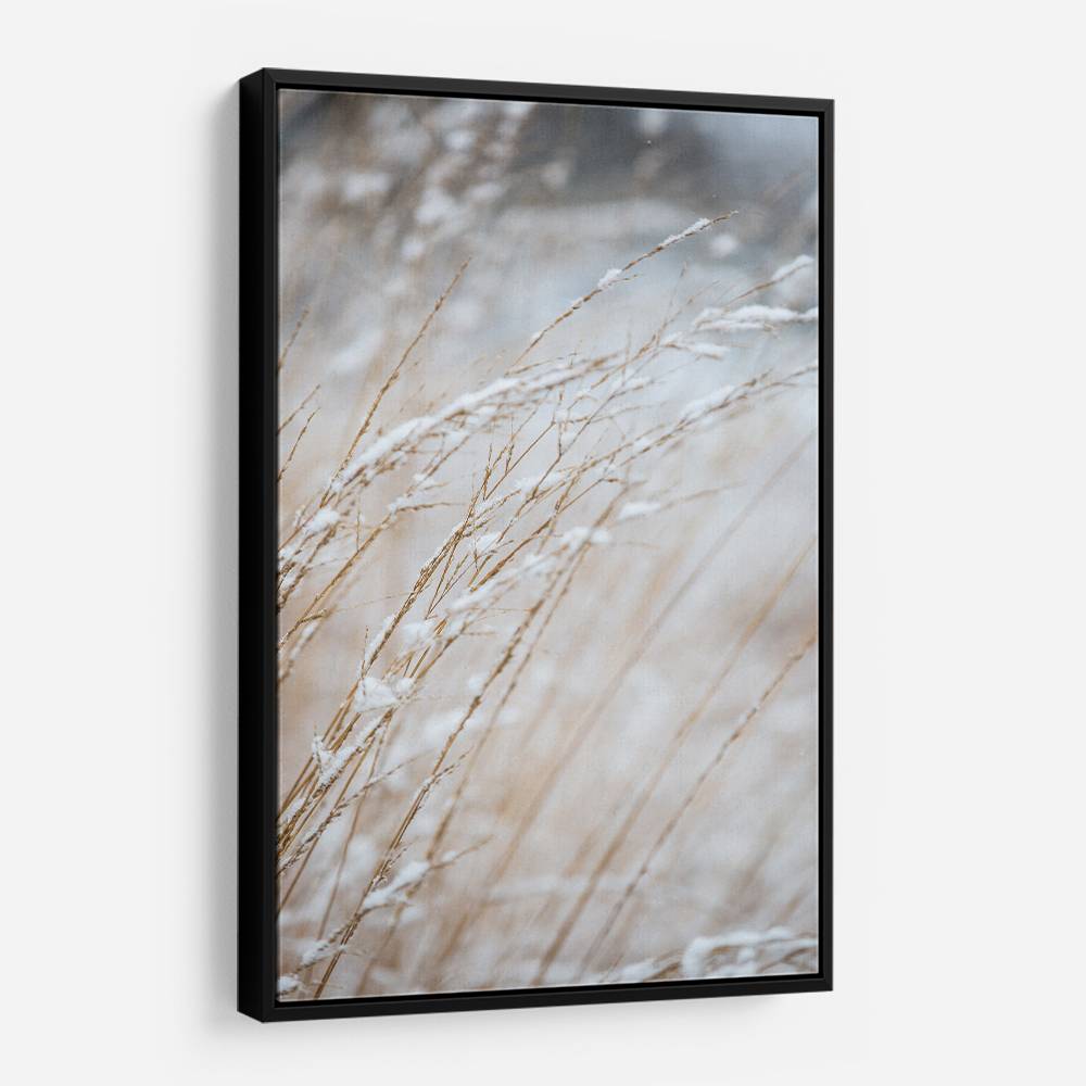 Winter Grass Wall Art