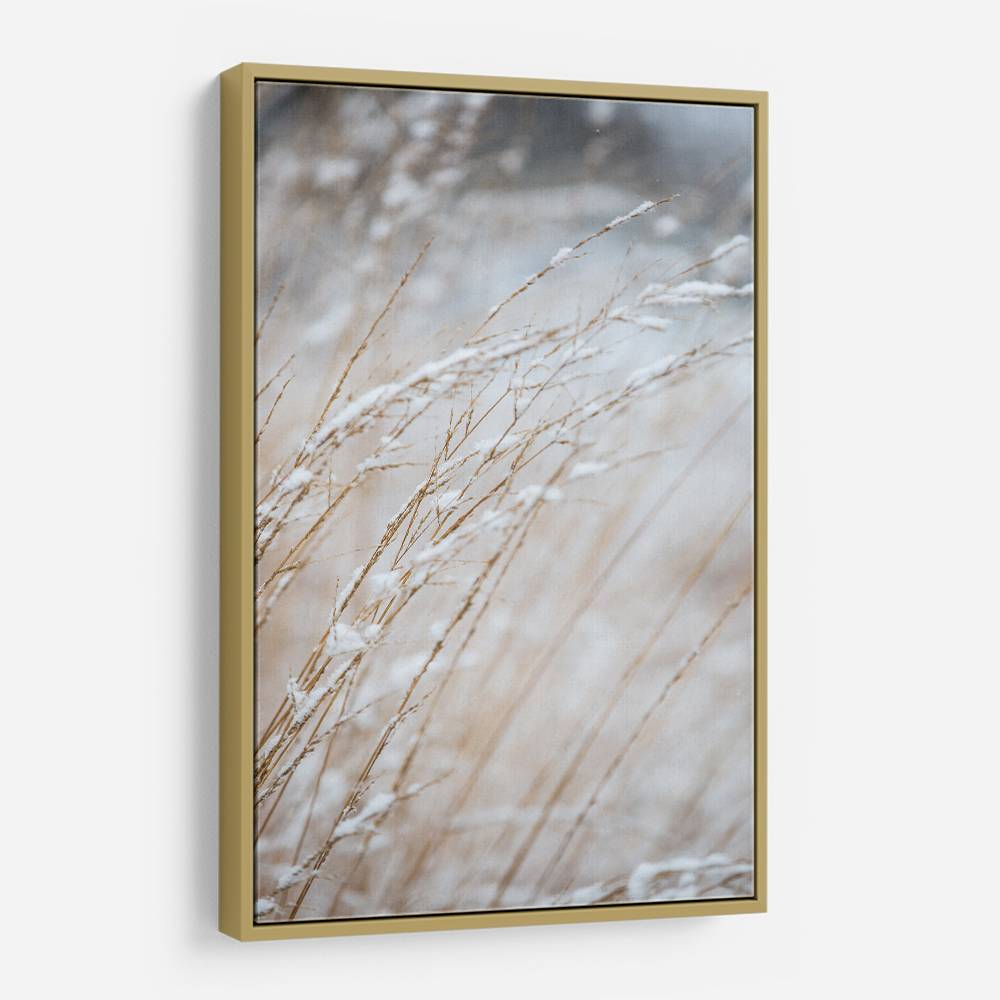 Winter Grass Wall Art