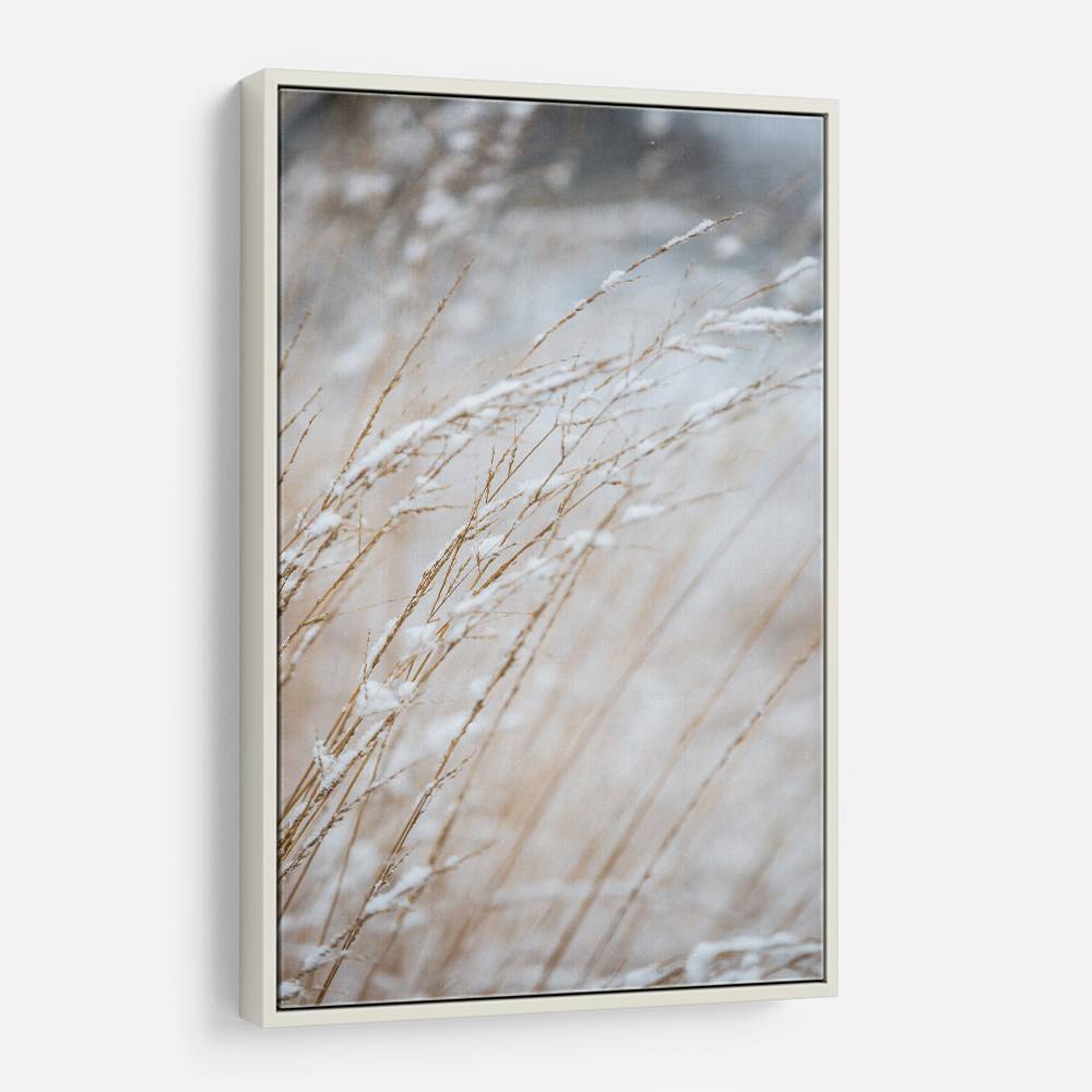 Winter Grass Wall Art