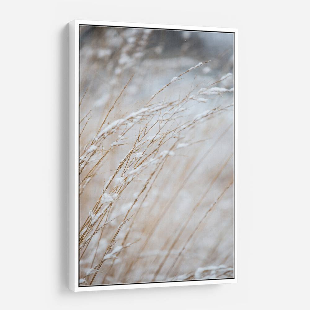 Winter Grass Wall Art