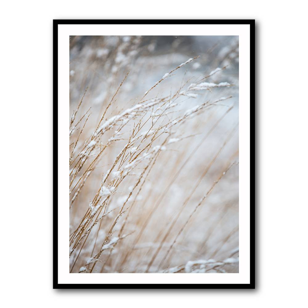 Winter Grass Wall Art