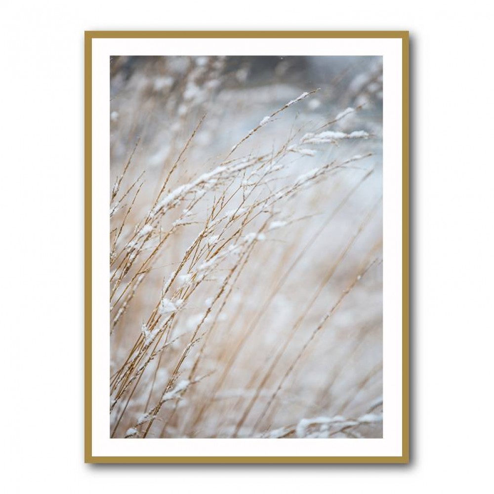 Winter Grass Wall Art