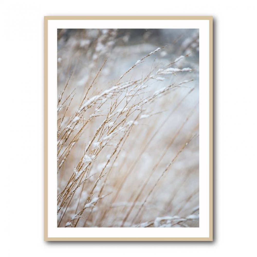 Winter Grass Wall Art