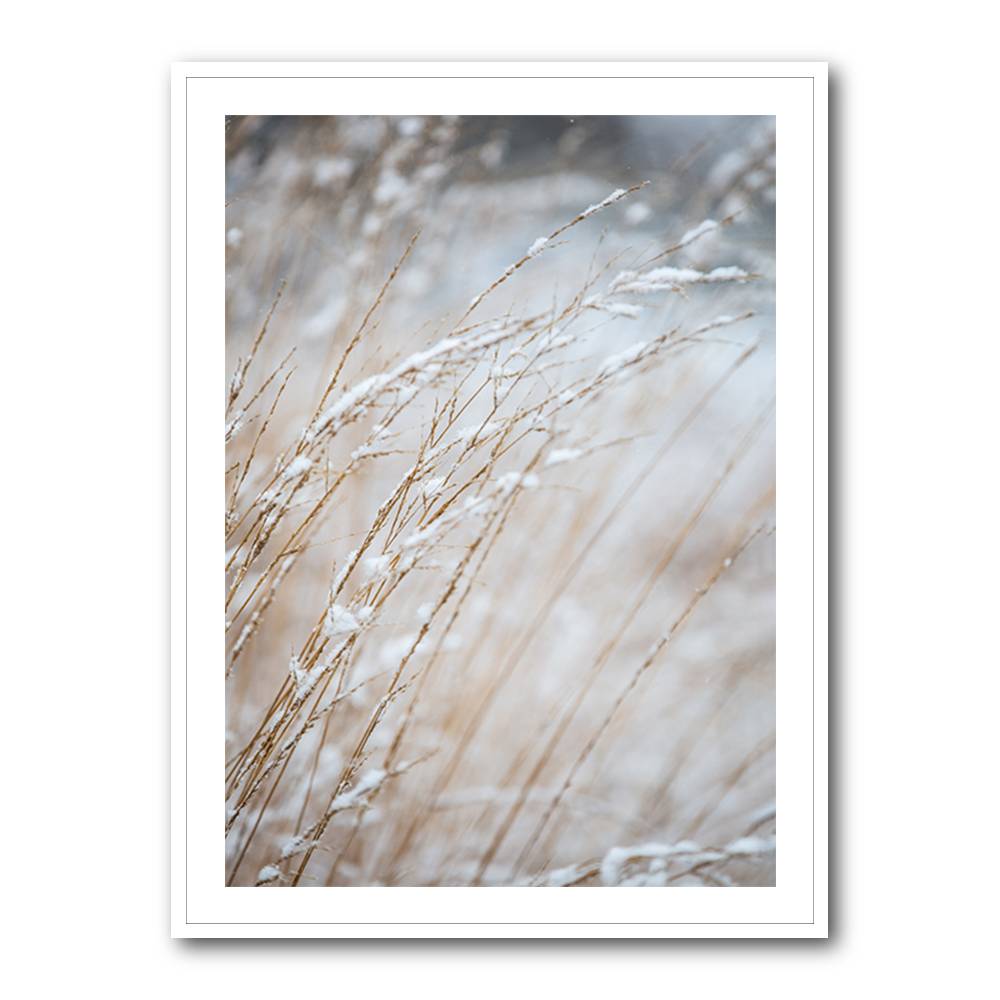 Winter Grass Wall Art