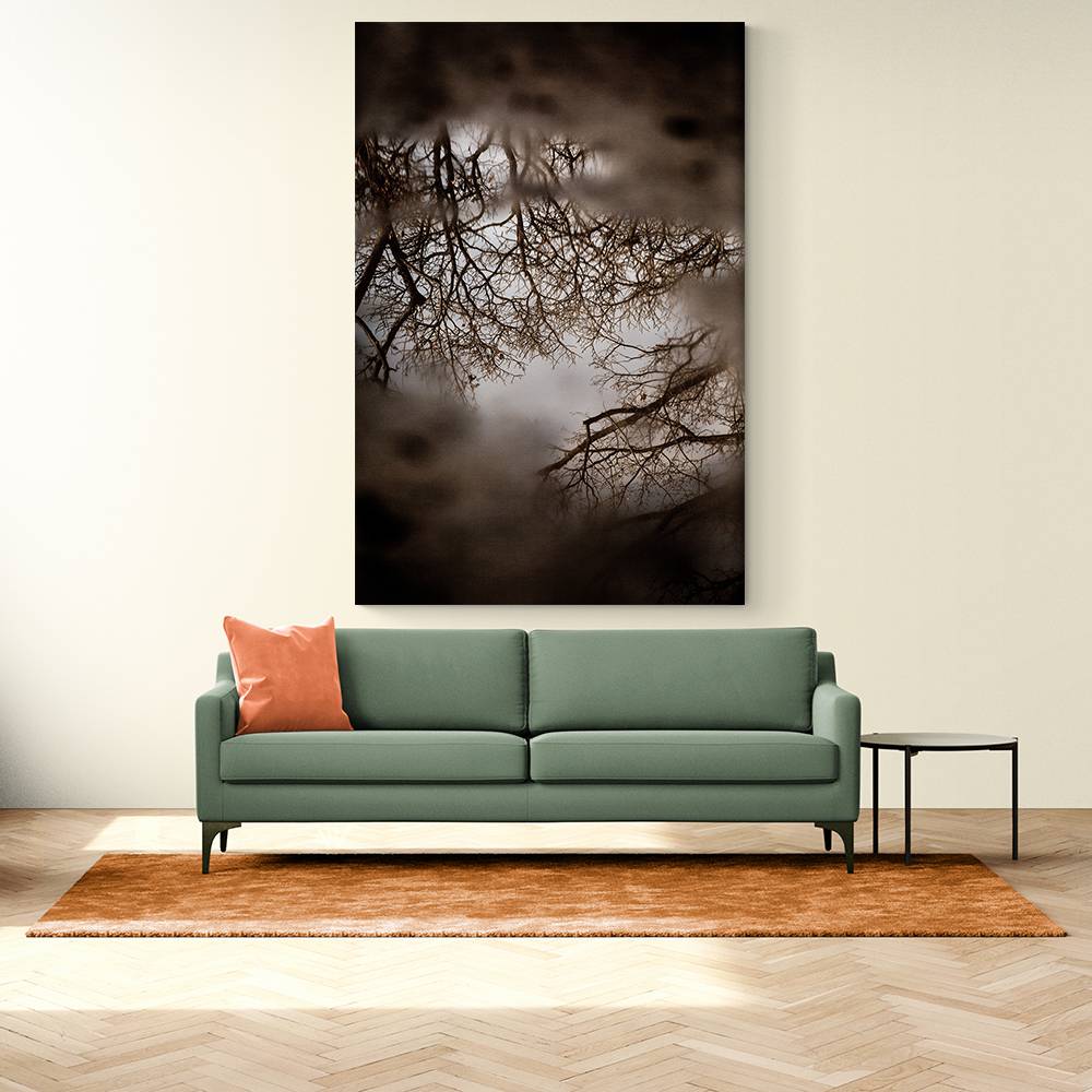 Winter Reflections Wall Art