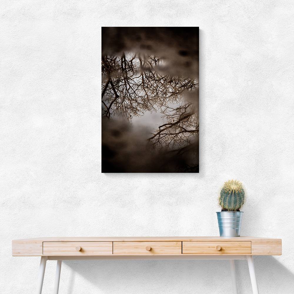 Winter Reflections Wall Art