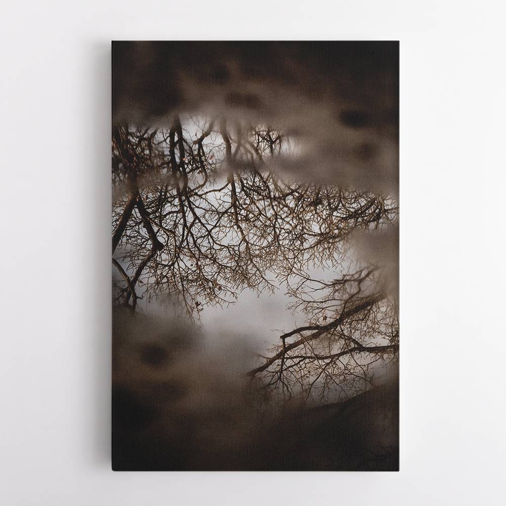 Winter Reflections Wall Art