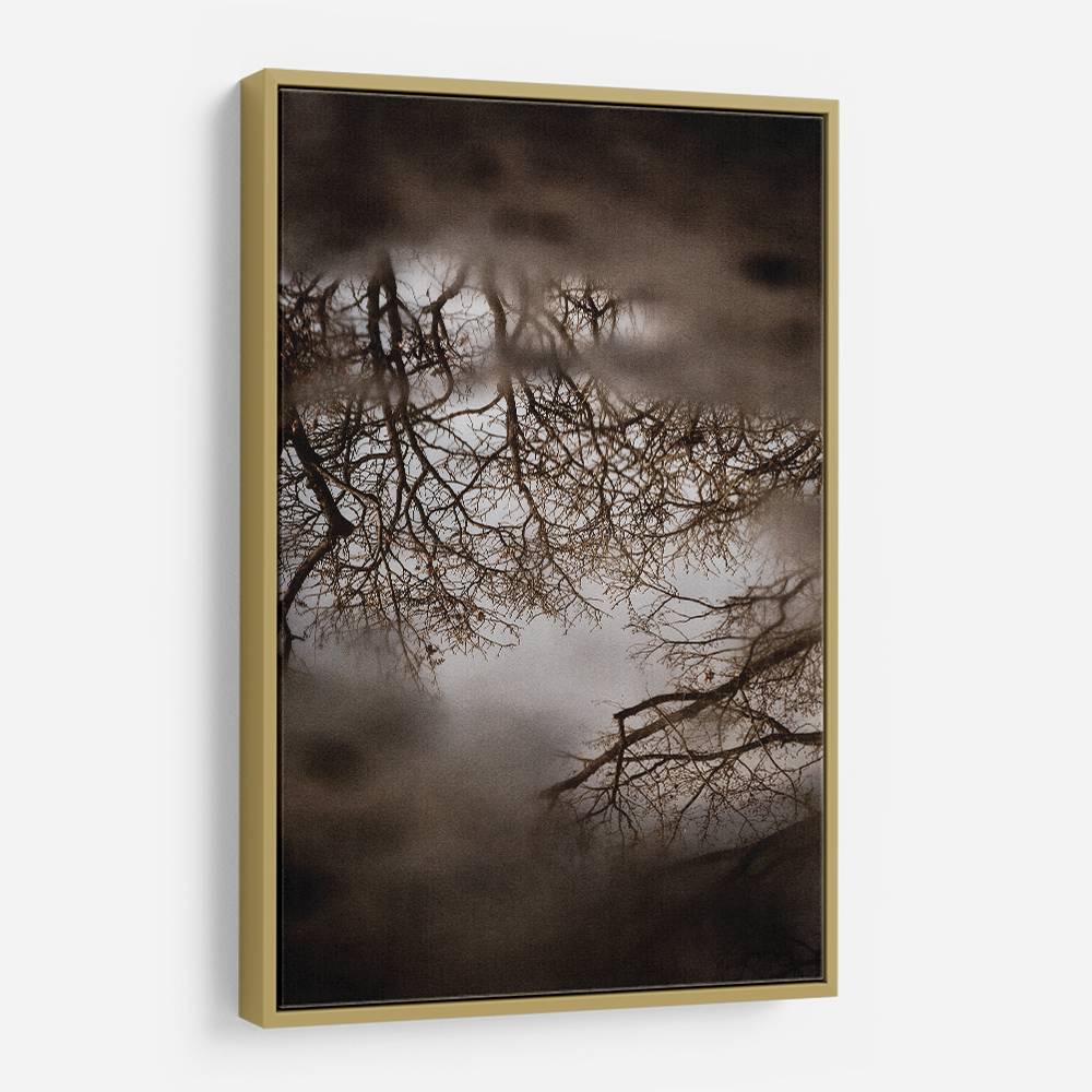 Winter Reflections Wall Art