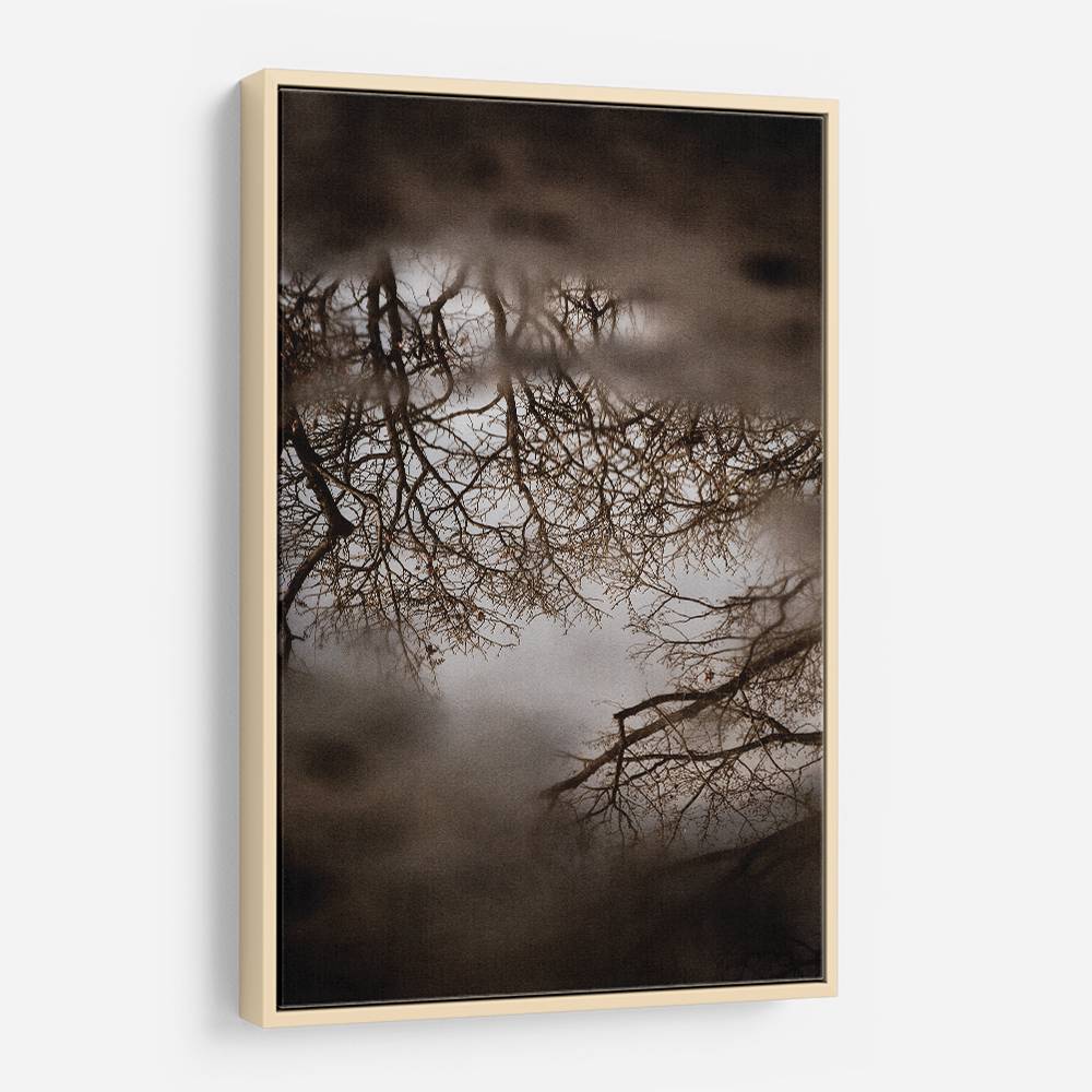 Winter Reflections Wall Art