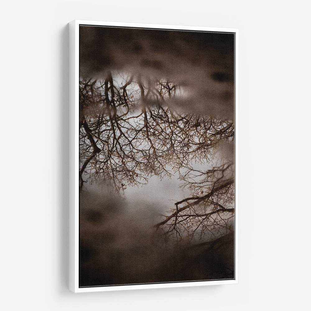 Winter Reflections Wall Art