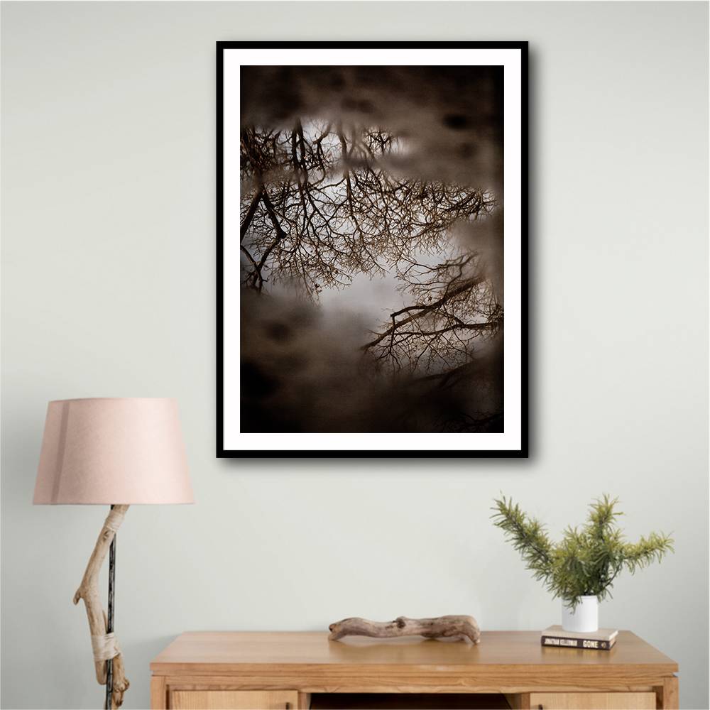 Winter Reflections Wall Art