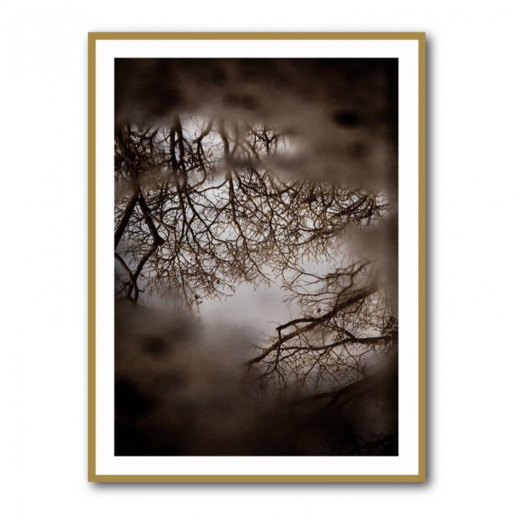 Winter Reflections Wall Art