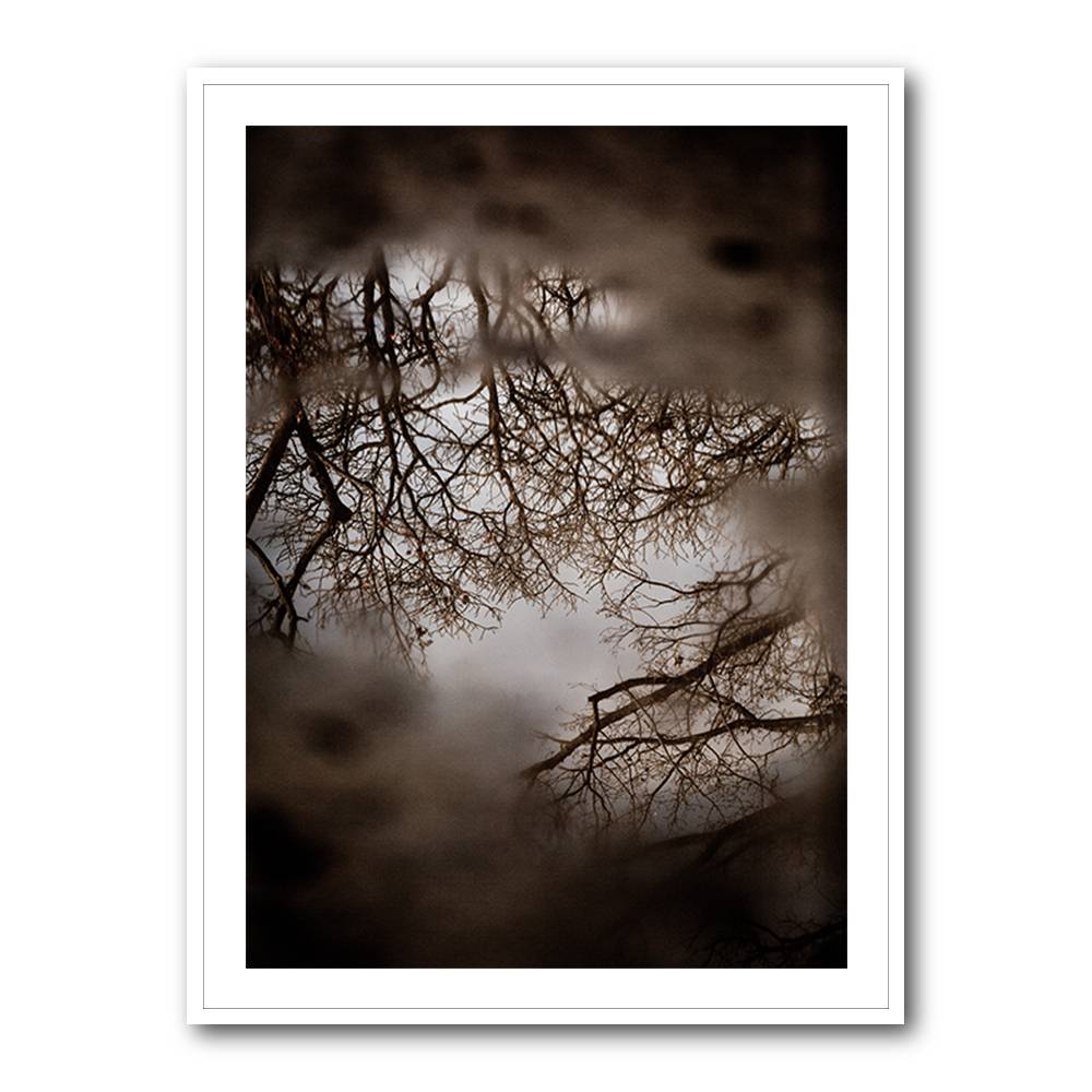 Winter Reflections Wall Art