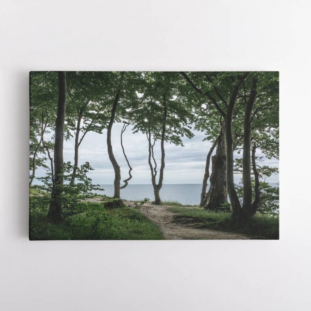 Forest At The Sea 2 Wall Art