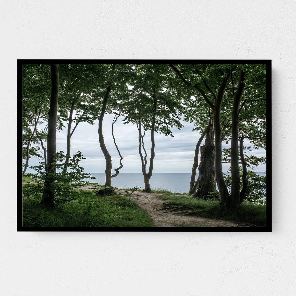 Forest At The Sea 2 Wall Art