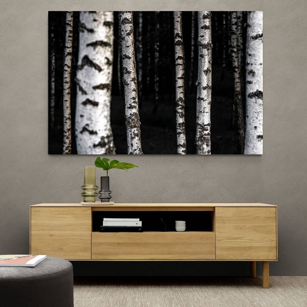 Birch Trees 8 Wall Art