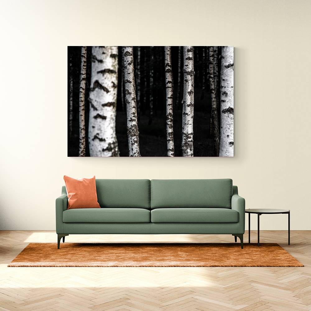 Birch Trees 8 Wall Art