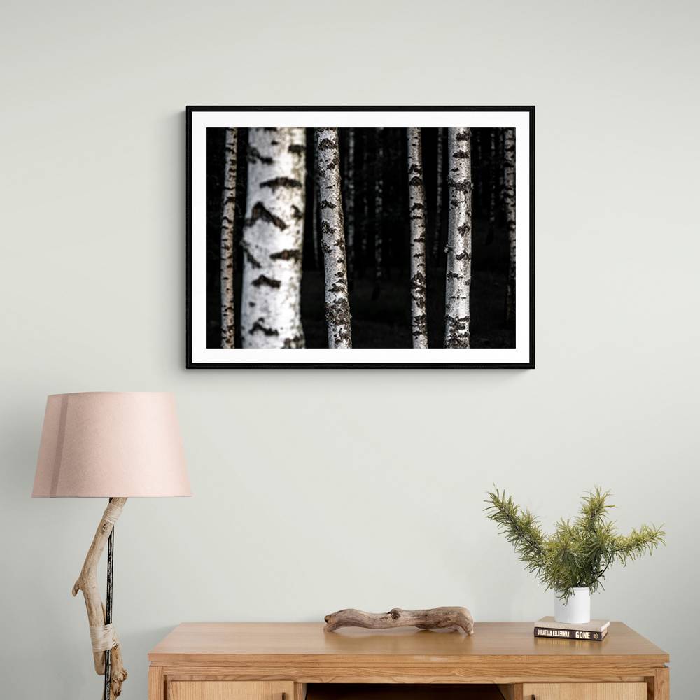 Birch Trees 8 Wall Art