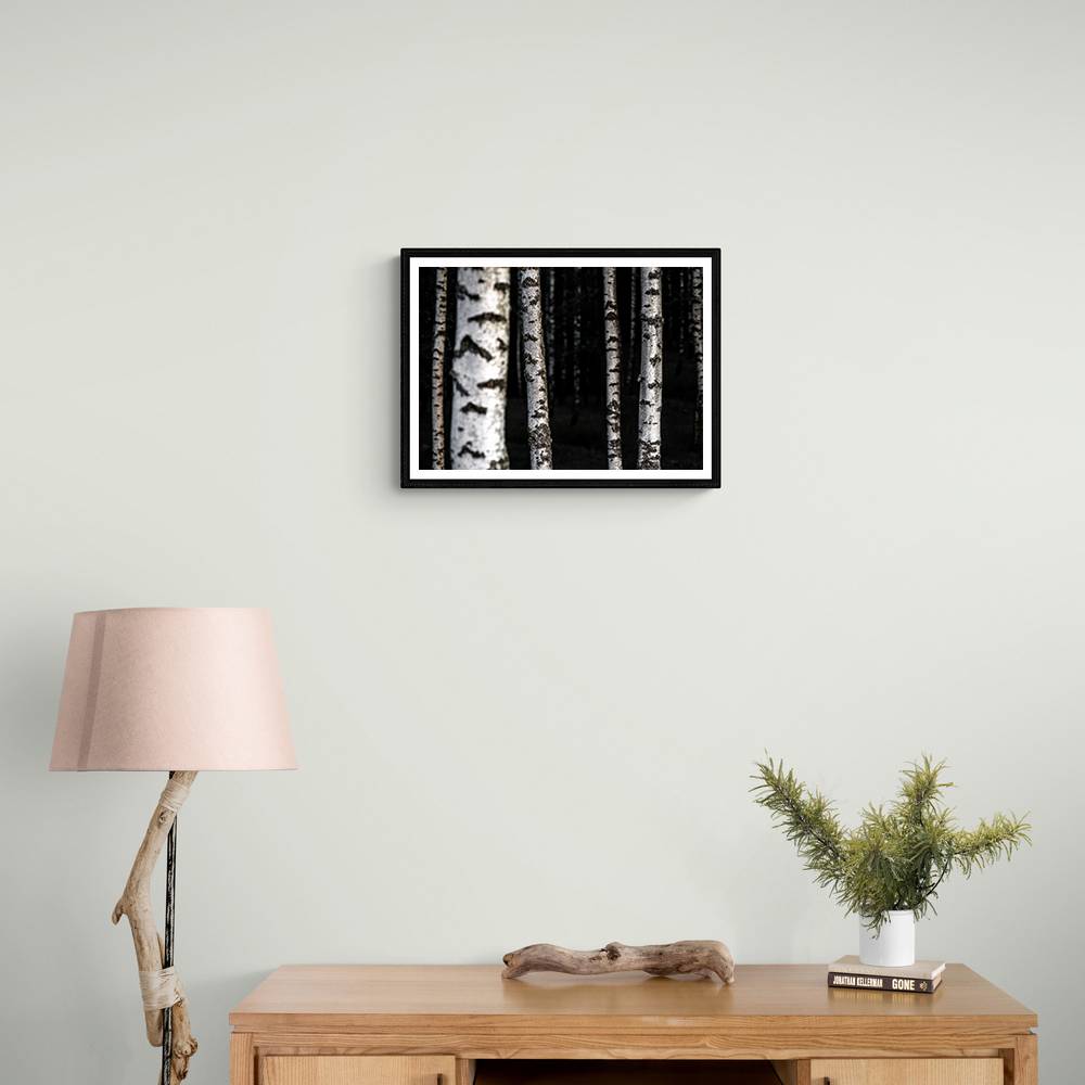 Birch Trees 8 Wall Art