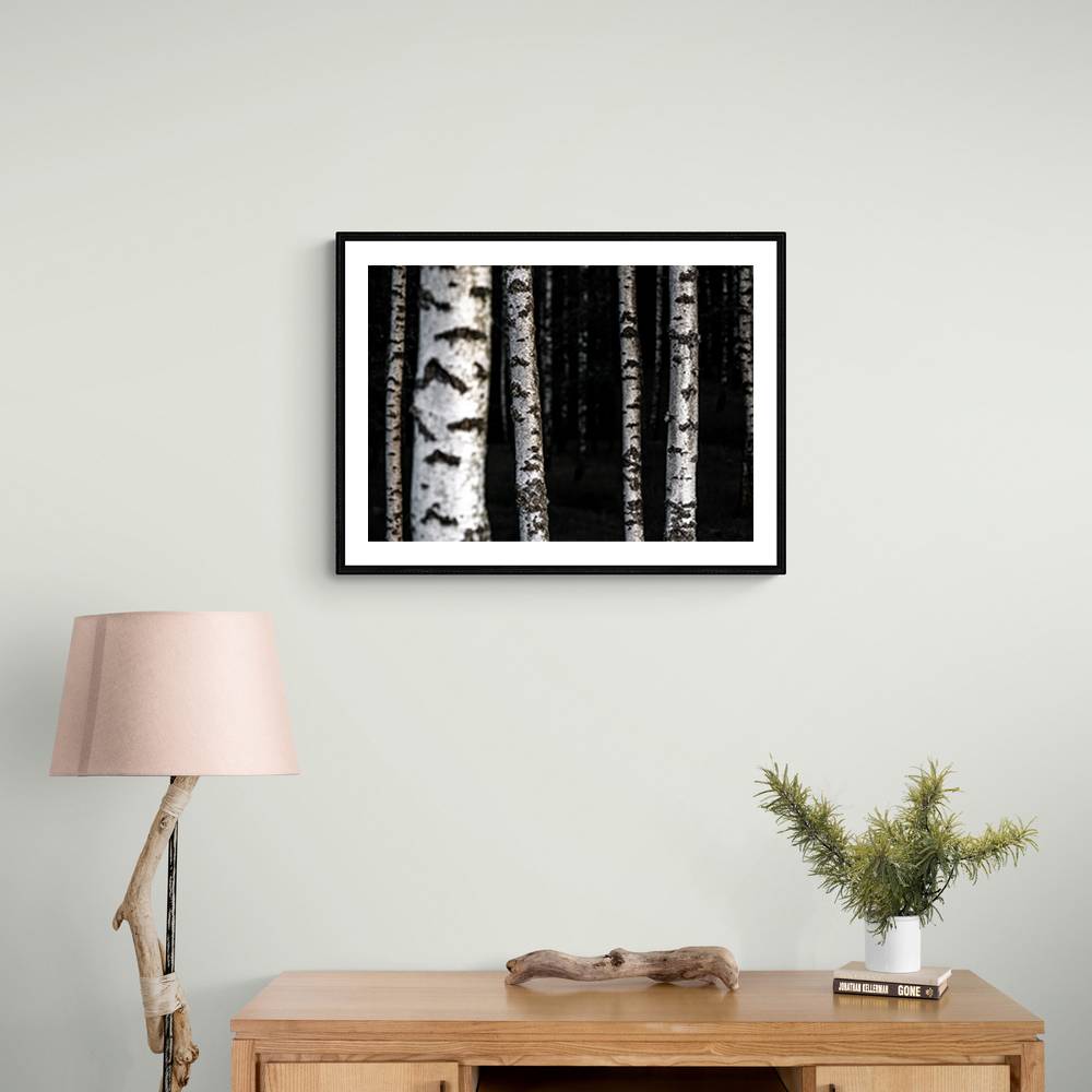 Birch Trees 8 Wall Art