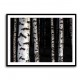 Birch Trees 8 Wall Art