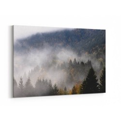 Foggy Woods 9 Wall Art