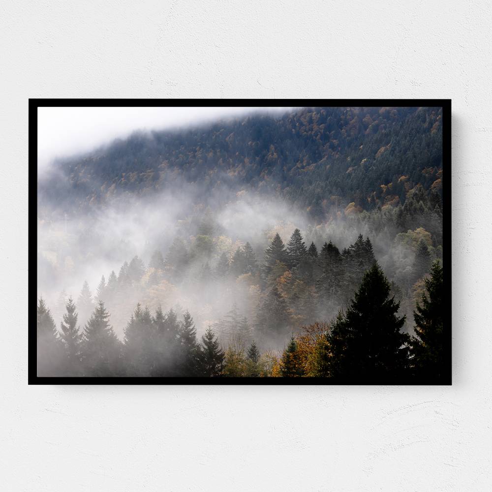 Foggy Woods 9 Wall Art