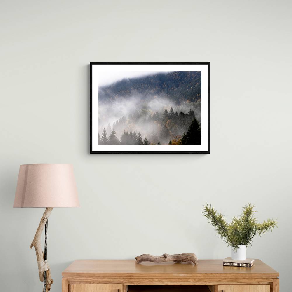 Foggy Woods 9 Wall Art