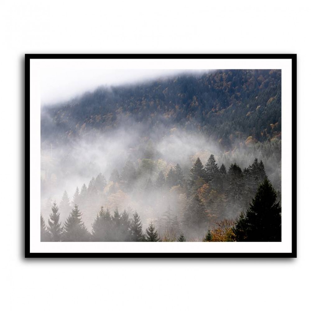 Foggy Woods 9 Wall Art