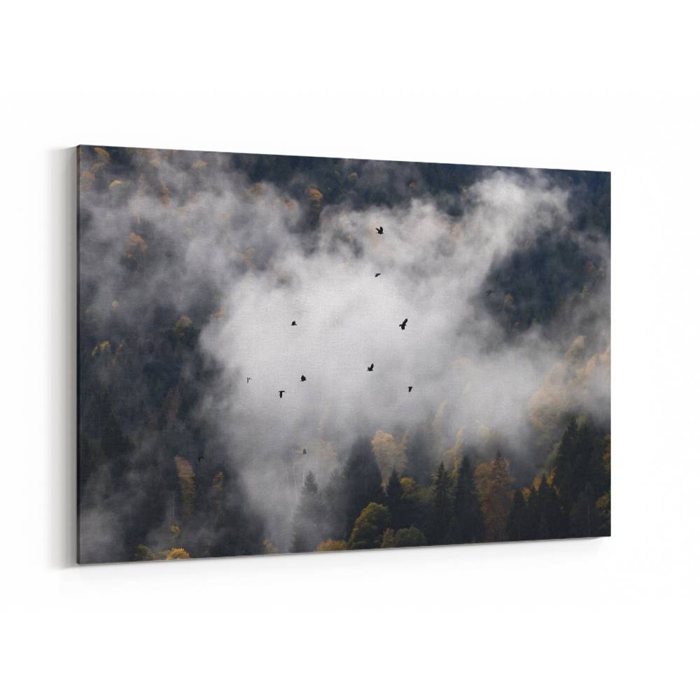 Foggy Woods 8 Wall Art