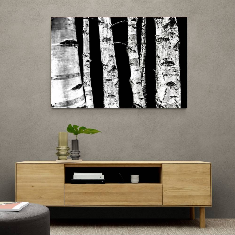 Birch Trees Wall Art