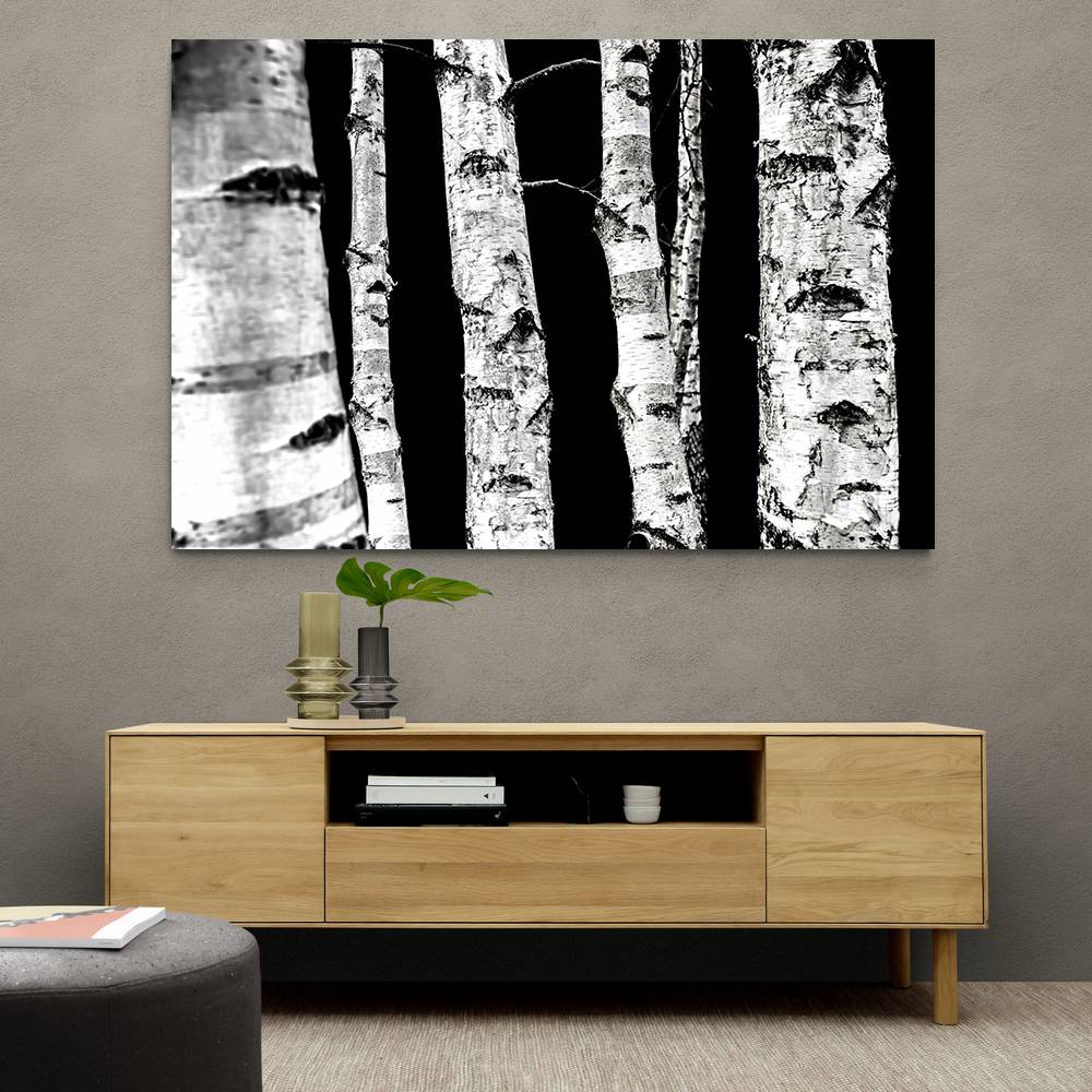 Birch Trees Wall Art