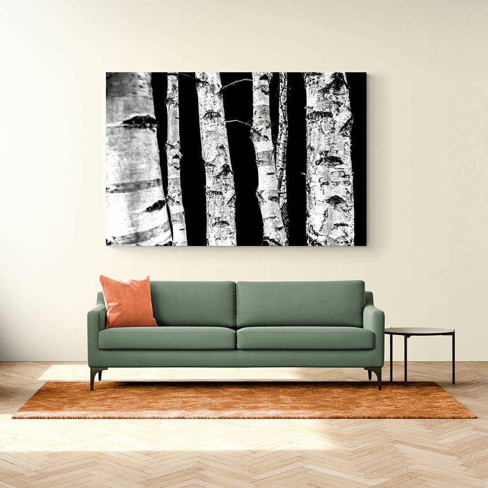 Birch Trees Wall Art