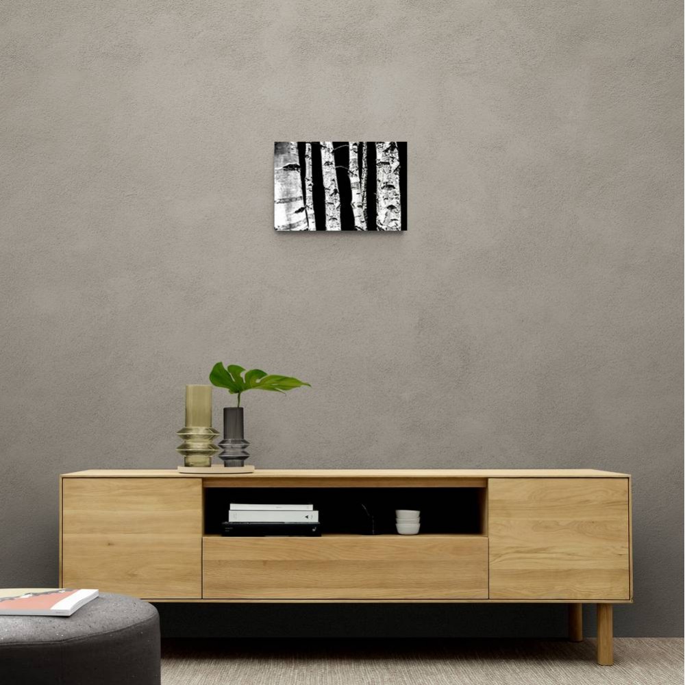 Birch Trees Wall Art