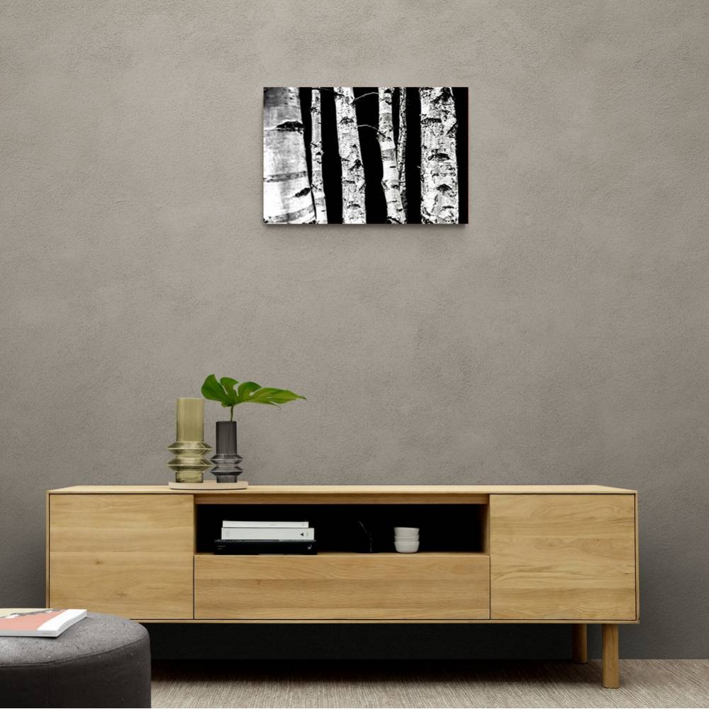 Birch Trees Wall Art