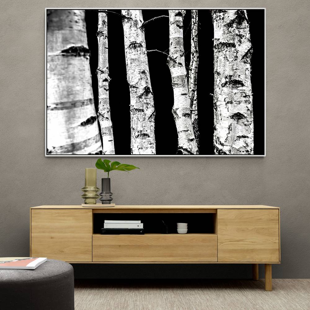 Birch Trees Wall Art