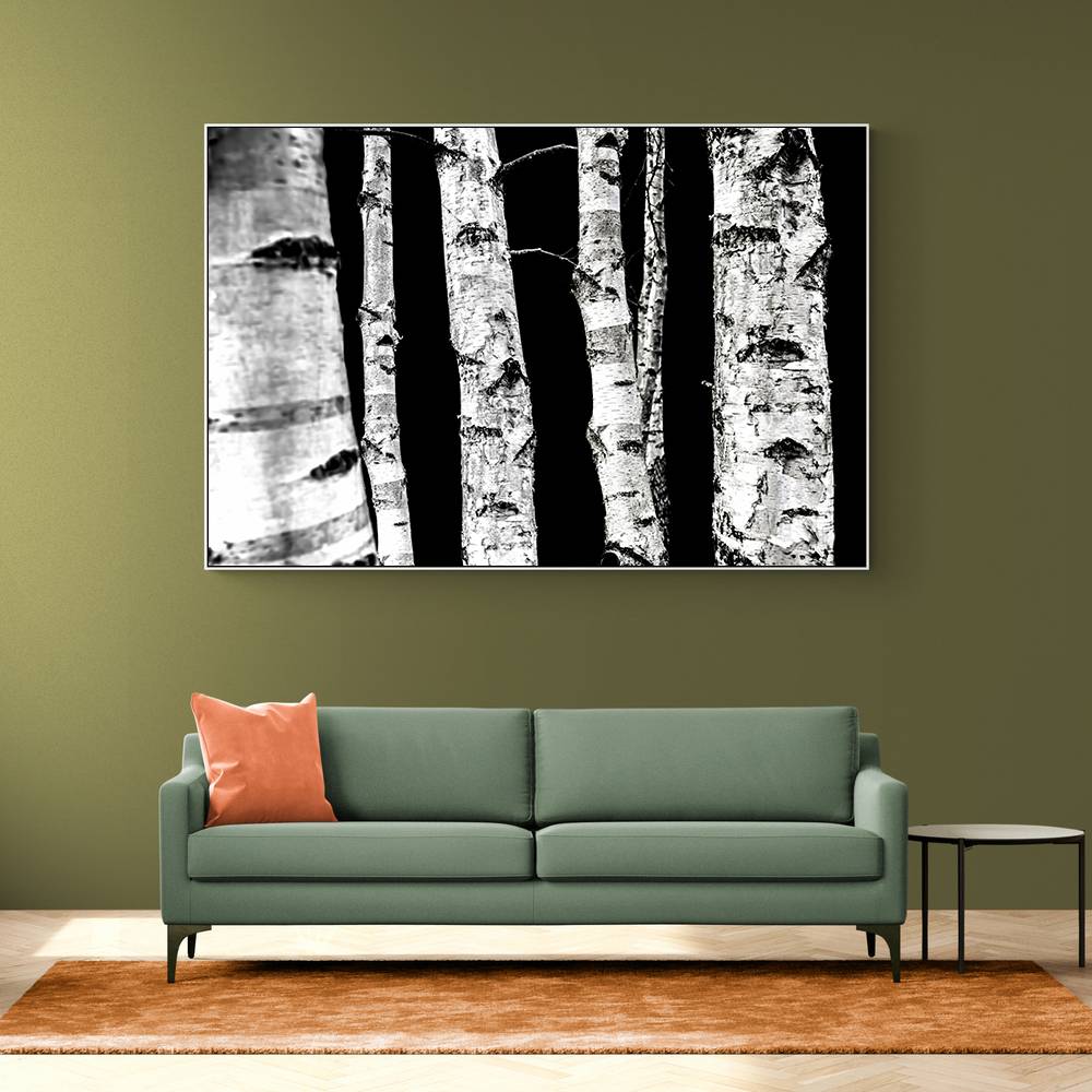 Birch Trees Wall Art