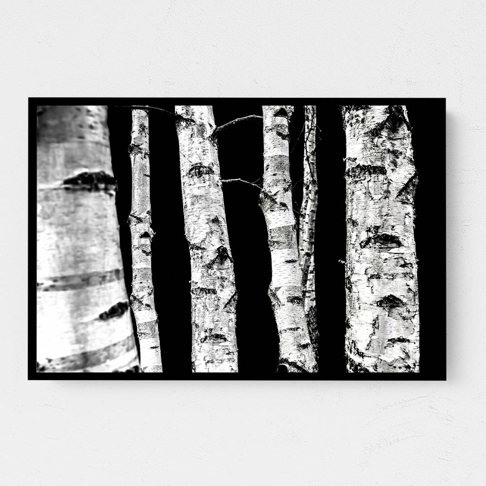 Birch Trees Wall Art