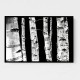 Birch Trees Wall Art