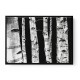 Birch Trees Wall Art