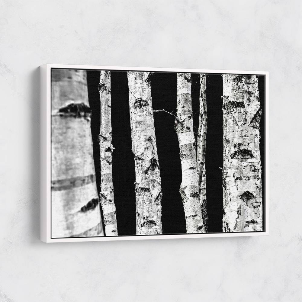 Birch Trees Wall Art