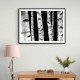 Birch Trees Wall Art