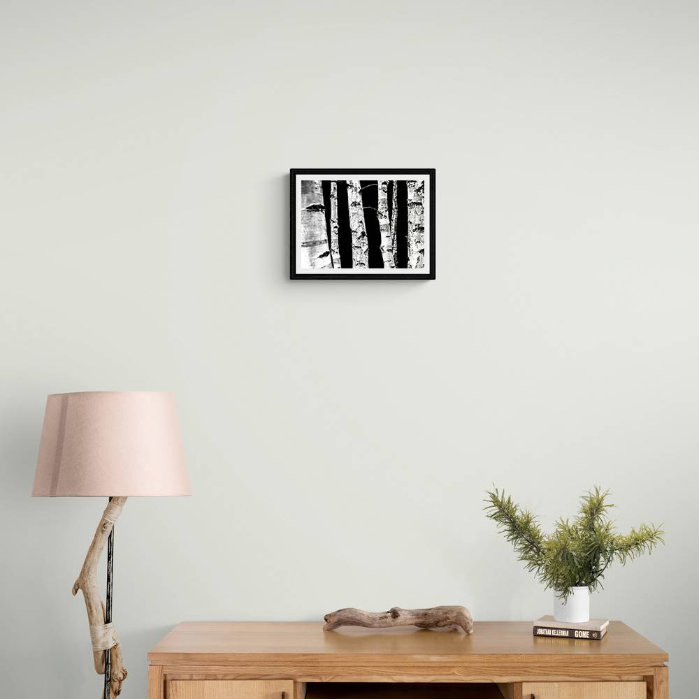 Birch Trees Wall Art